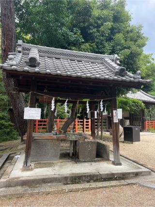 志賀社(住吉大社摂社)の参拝記録(⛩️🐍🐢まめ🐢🐍⛩️さん)