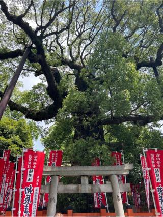 貴船社(住吉大社末社)の参拝記録(⛩️🐍🐢まめ🐢🐍⛩️さん)