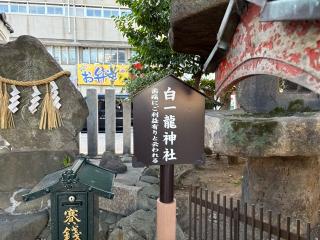 白一龍神社(開口神社境内社)の参拝記録(ととるしさん)