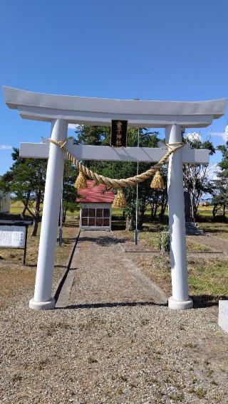 金子神社の参拝記録(ひろちゃんさん)