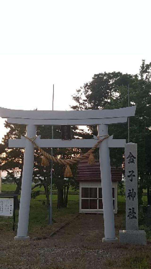 北海道岩見沢市金子町170-1 金子神社の写真1