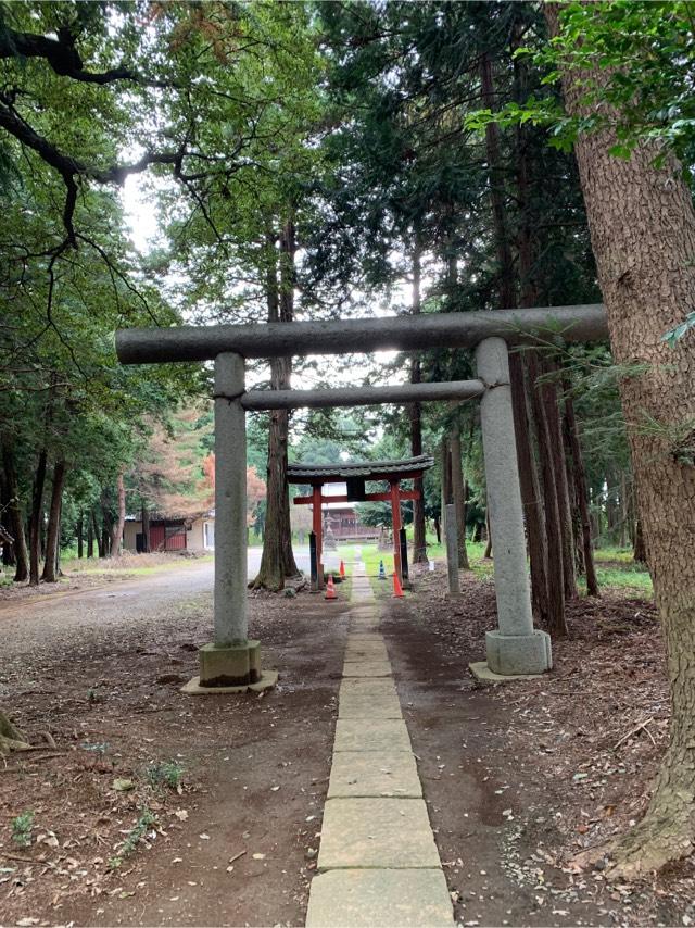 高虫氷川神社の参拝記録(ぶーさん)