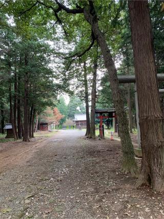 高虫氷川神社の参拝記録(ぶーさん)