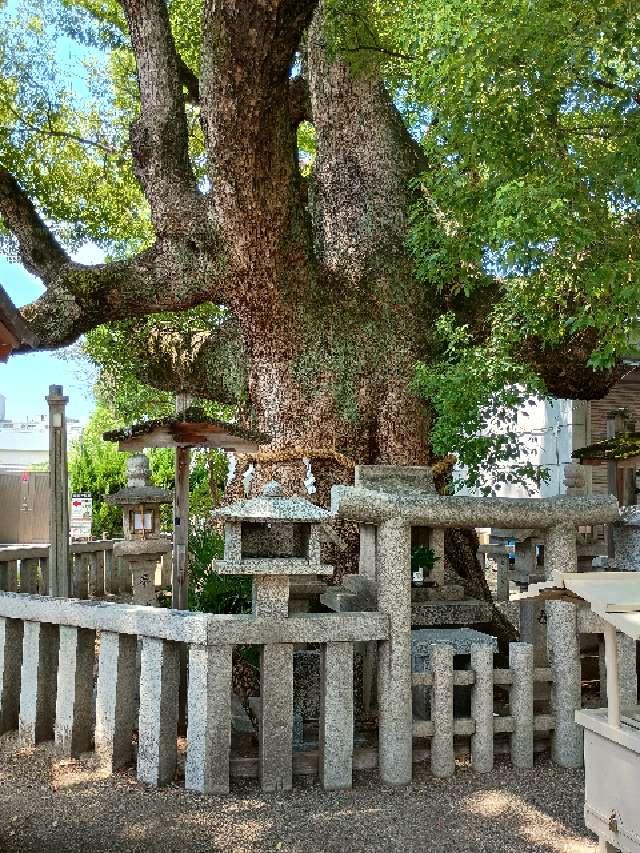 樟社(杭全神社)の参拝記録1