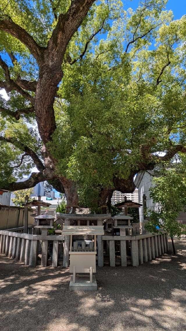 樟社(杭全神社)の参拝記録2