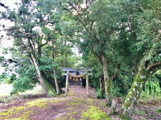 与呂伎神社の参拝記録(じゃすてぃさん)