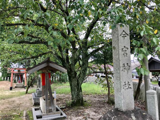 今宮神社の参拝記録1