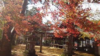 恵美須神社（赤田神社境内社）の参拝記録(matsuyoshi49さん)