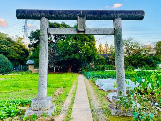 八雲神社(宮前町)の参拝記録(shikigami_hさん)