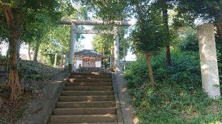 南新宿久伊豆神社の参拝記録(ロビンさん)