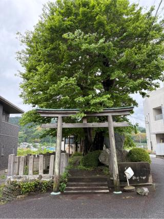 大森神社の参拝記録(満次さん)