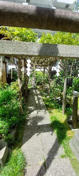 白狐社(於岩稲荷田宮神社境内社)の参拝記録(まーぼーさん)