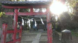 鷲神社の参拝記録(ツナ缶さん)