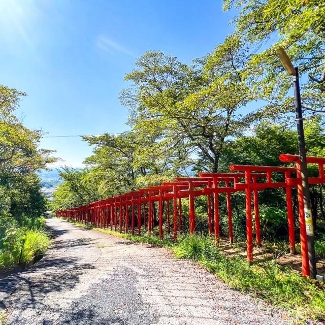 丸高稲荷神社の参拝記録3