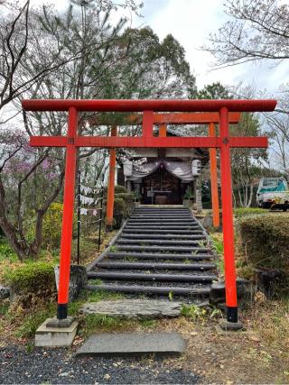 丸高稲荷神社の参拝記録(まきちゃんさん)