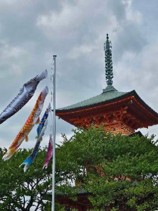 青葉神社の参拝記録(のりさん)