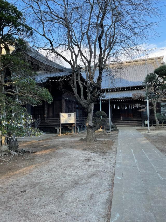 通法山 成顕寺の参拝記録5