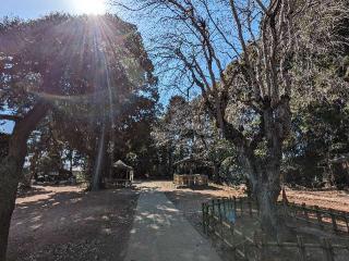 通法山 成顕寺の参拝記録(おがおが1262さん)
