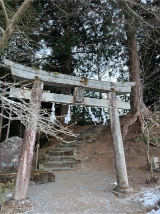 大塚丘の参拝記録(⛩️🐍🐢まめ🐢🐍⛩️さん)