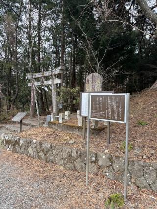 大塚丘の参拝記録(⛩️🎠🐢まめ🐢🎠⛩️さん)