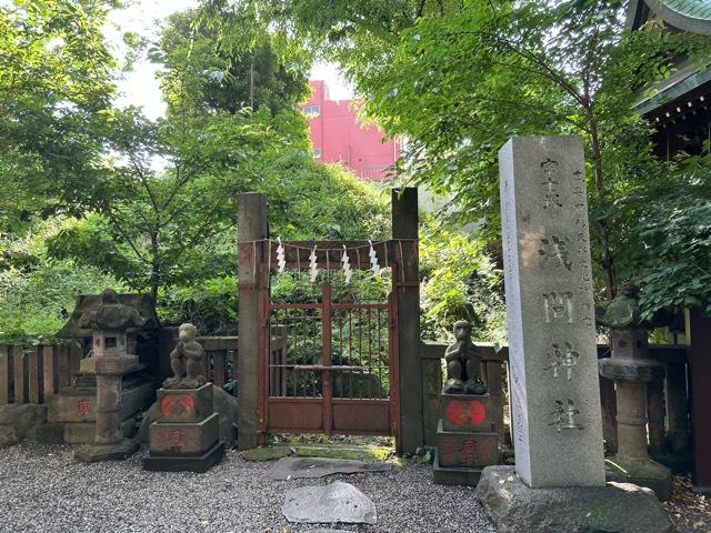 富士浅間神社(小野照崎神社境内社)の参拝記録9