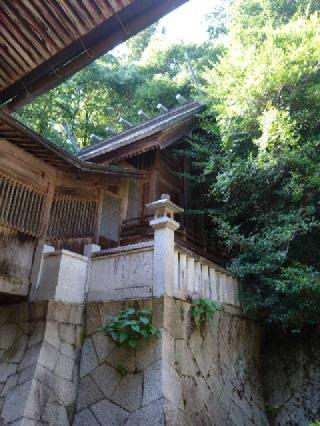 須佐神社の参拝記録(総右衛門さん)