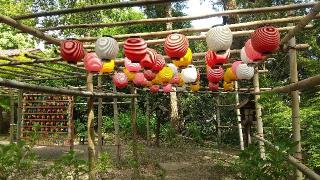 鷺神社の参拝記録( いなりんさん)
