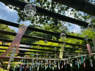 鷺神社の参拝記録(asukaさん)
