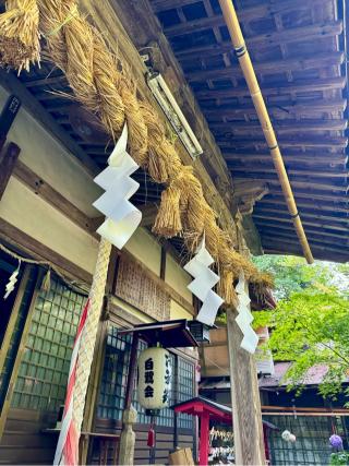 鷺神社の参拝記録(さくらさん)