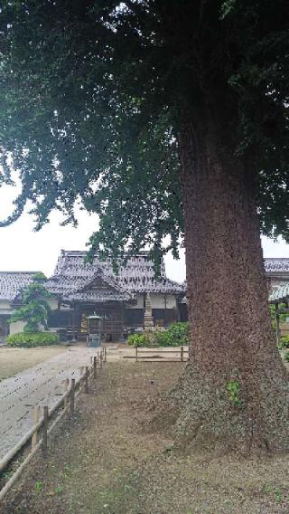 薬法山　福性寺の参拝記録(のむたんさん)