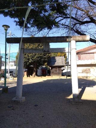 天神社(三橋四丁目)の参拝記録(ブッチャーさん)