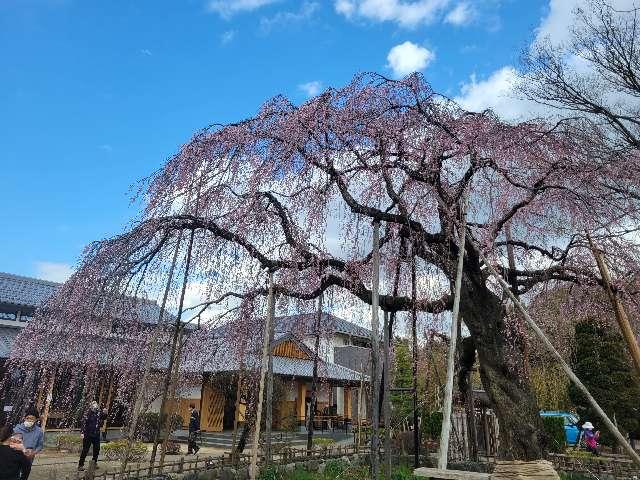 千葉県流山市名都借1024-1 荒井山　清瀧院の写真3