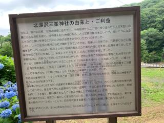 北湯沢三峯神社の参拝記録(鷲ハリアーさん)