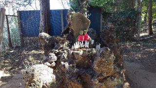 稲荷大明神(中山氷川神社境内社)の参拝記録(オトギリルさん)