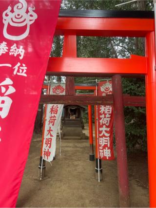 稲荷大明神(中山氷川神社境内社)の参拝記録(⛩️🐍🐢まめ🐢🐍⛩️さん)