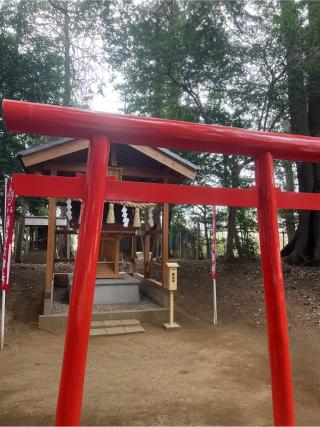 稲荷神社(中山氷川神社境内社)の参拝記録(⛩️🐍🐢まめ🐢🐍⛩️さん)