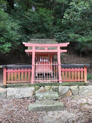 須屋浦神社の参拝記録(あくんさん)