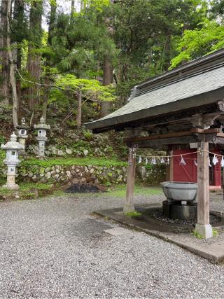 日吉社(戸隠神社 中社)の参拝記録(⛩️🐍🐢まめ🐢🐍⛩️さん)