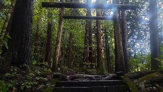 末社郡(戸隠神社 宝光社)の参拝記録(まっちゃんさん)