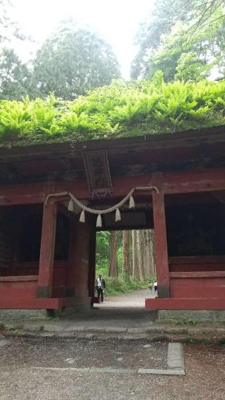 飯綱神社(戸隠神社 奥社)の参拝記録(やっちゃんさん)