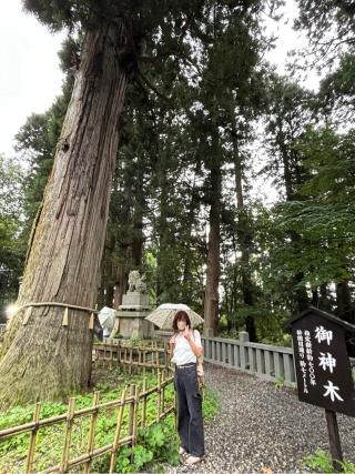 天神社(戸隠神社 中社)の参拝記録(やよいさん)