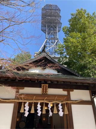 恵比寿神社(四柱神社境内社)の参拝記録(恭子さん)