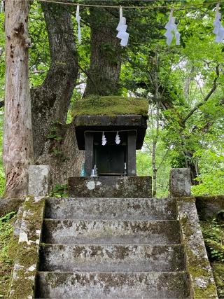 一龕龍王社(戸隠神社 奥社)の参拝記録(チョコバナナさん)