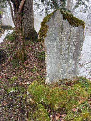 一龕龍王社(戸隠神社 奥社)の参拝記録(⛩️🐍🐢まめ🐢🐍⛩️さん)