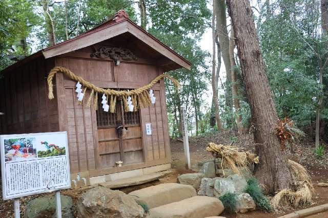 竜神社(氷川女體神社境内社)の参拝記録5