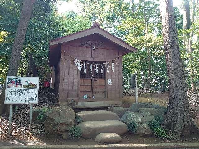 竜神社(氷川女體神社境内社)の参拝記録10