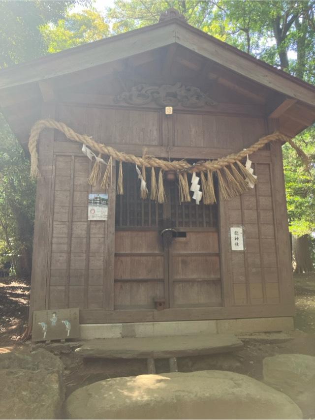 竜神社(氷川女體神社境内社)の参拝記録4