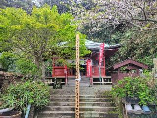妙法山 観音寺の参拝記録(まっきーさん)