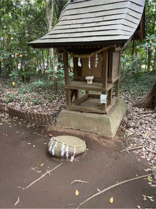 神明社(氷川女體神社境内社)の参拝記録(⛩️🐍🐢まめ🐢🐍⛩️さん)