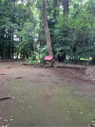 今宮神社(氷川女體神社境内社)の参拝記録(⛩️🐍🐢まめ🐢🐍⛩️さん)